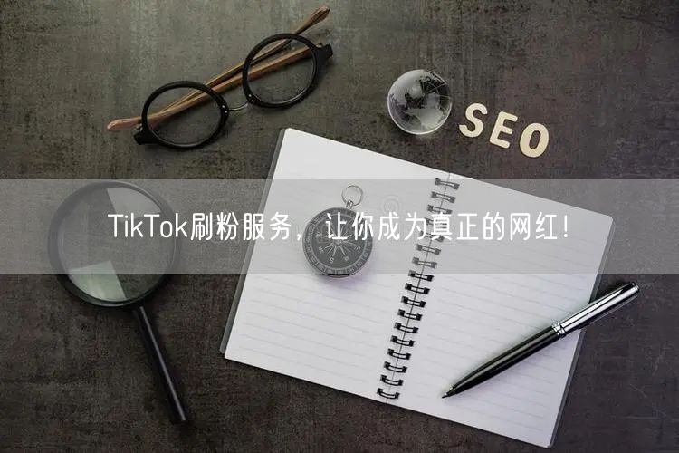 TikTok刷粉服务，让你成为真正的网红！